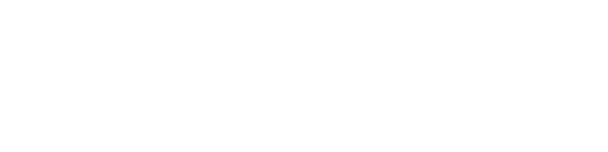 Partum Systems